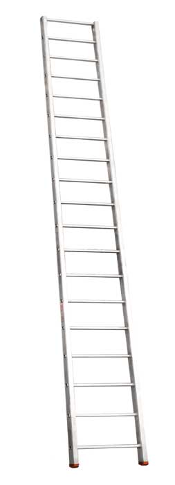 Pole-Ladder